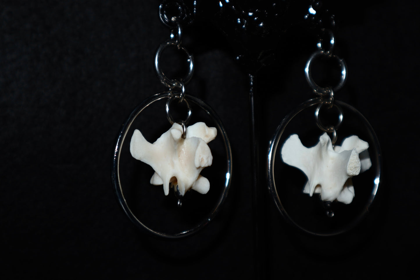 (LARGE) bone hoops