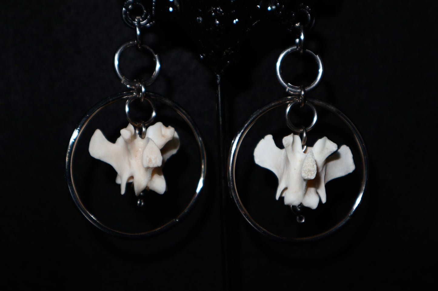 (LARGE) bone hoops